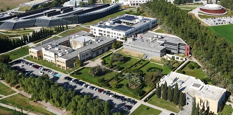 Study at Cyprus International University